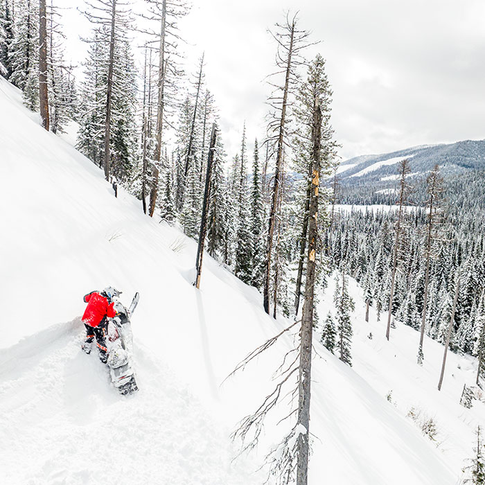 Winter snowmobile rentals & adventures in Whitefish, Olney & the Flathead Valley MT